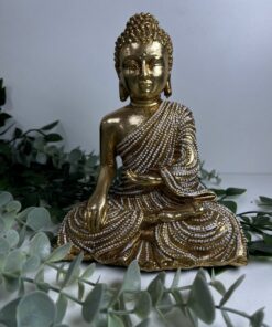 Buda sentado Pema