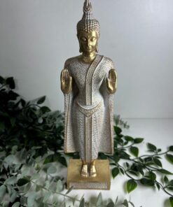 Buda Ramya