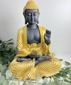 Buda Bharti